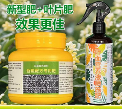 家庭养花用生根粉