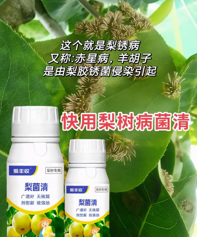 木瓜树生斑喷什么药