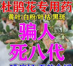 家庭养花用生根粉