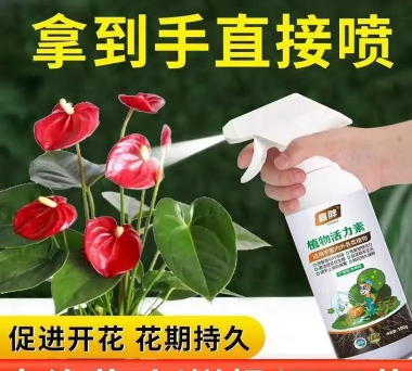 家庭养花用生根粉