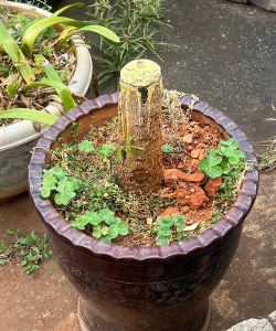 家庭养花用生根粉