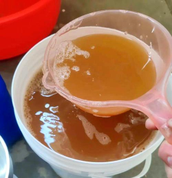 家庭养花用生根粉