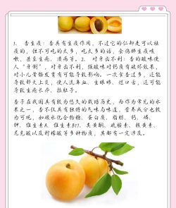 杏可以和什么一起吃吗