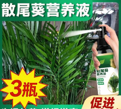 家庭养花用生根粉