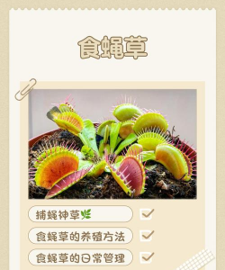 食草植物有哪些怎么捕食