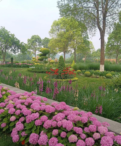 重庆什么时候有苗木花展