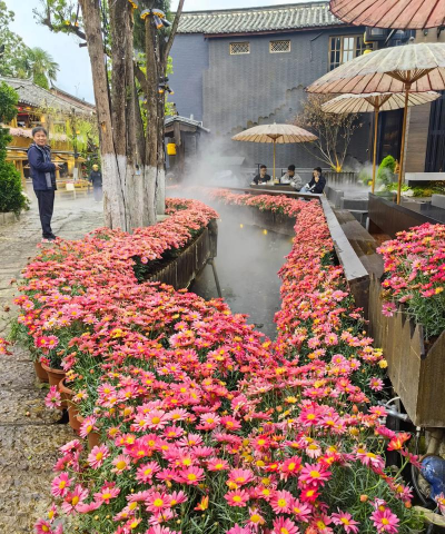 家庭养花用生根粉