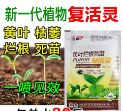 家庭养花用生根粉