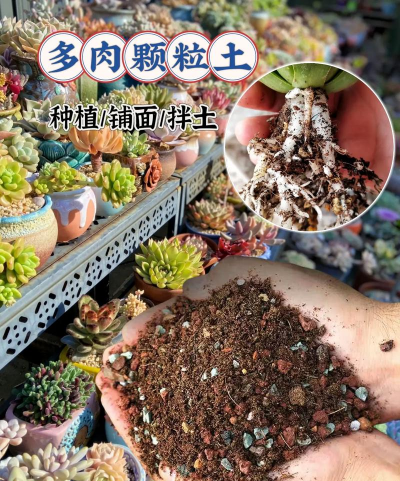 多肉用什么样的土种植 多肉用什么样的土种植