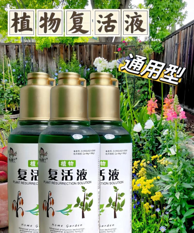 家庭养花用生根粉