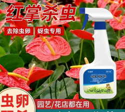 家庭养花用生根粉