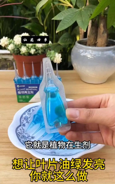 家庭养花用生根粉