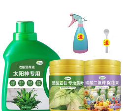 家庭养花用生根粉