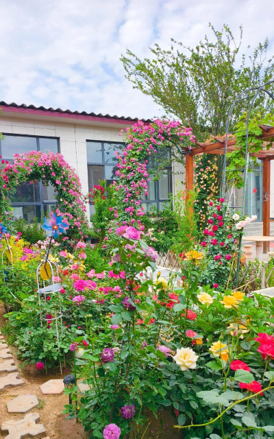 家庭养花用生根粉