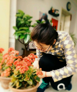 家庭养花用生根粉