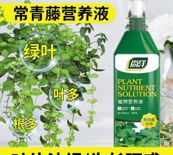 家庭养花用生根粉