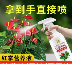 家庭养花用生根粉