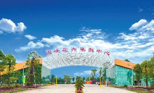 海峡花卉集散中心怎么去