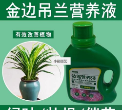 家庭养花用生根粉