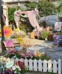 家庭养花用生根粉