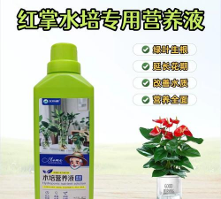 家庭养花用生根粉