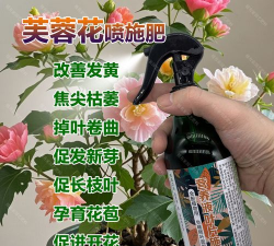 家庭养花用生根粉