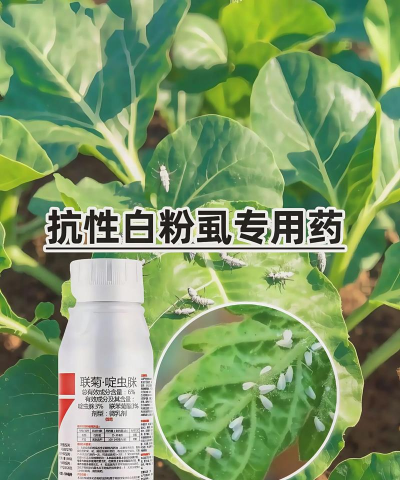 花上粉虱用什么药最有效