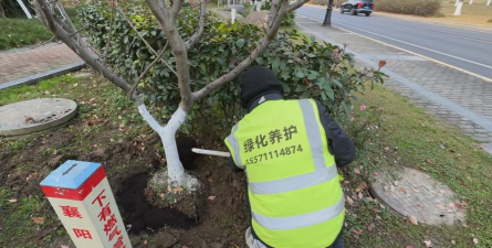 家庭养花用生根粉