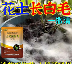 家庭养花用生根粉