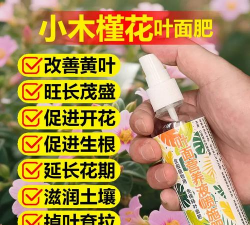 家庭养花用生根粉