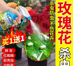 家庭养花用生根粉