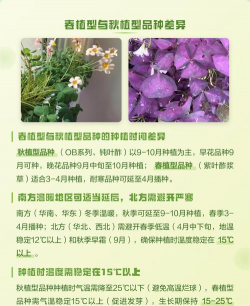炸浆草什么时间种植