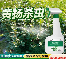 黄杨树生虫打什么药好