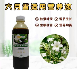 家庭养花用生根粉