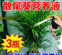 家庭养花用生根粉