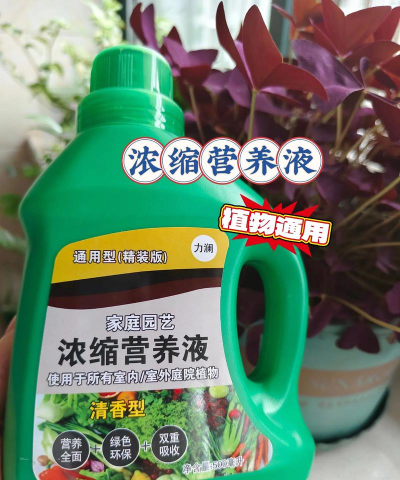 家庭养花用生根粉