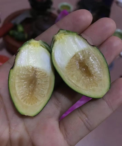 槟榔是一个什么东西