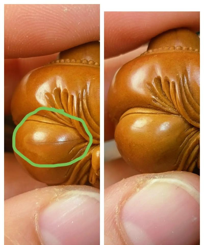 橄榄和生虫了怎么补救