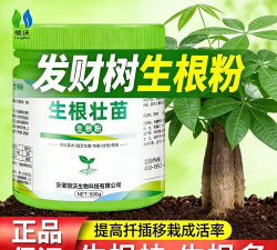 家庭养花用生根粉