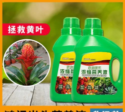 家庭养花用生根粉