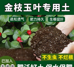 家庭养花用生根粉