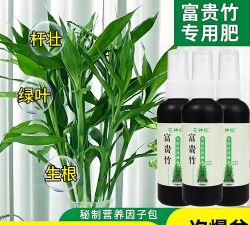 家庭养花用生根粉