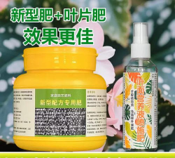 家庭养花用生根粉