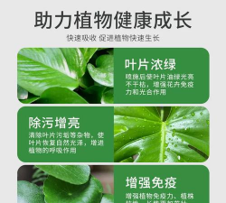 家庭养花用生根粉