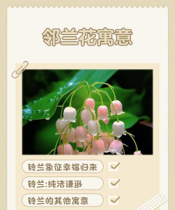 铃兰花代表什么