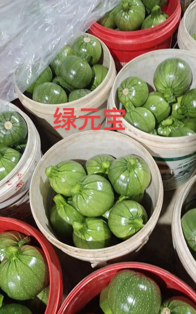 元宝颜色不绿怎么回事