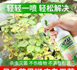 家庭养花用生根粉