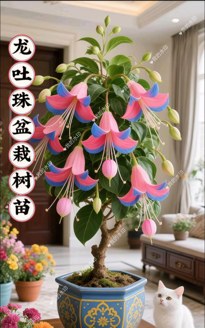 家庭养花用生根粉