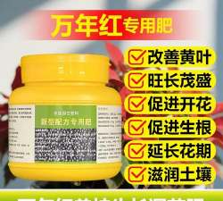 家庭养花用生根粉