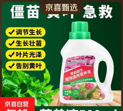 家庭养花用生根粉